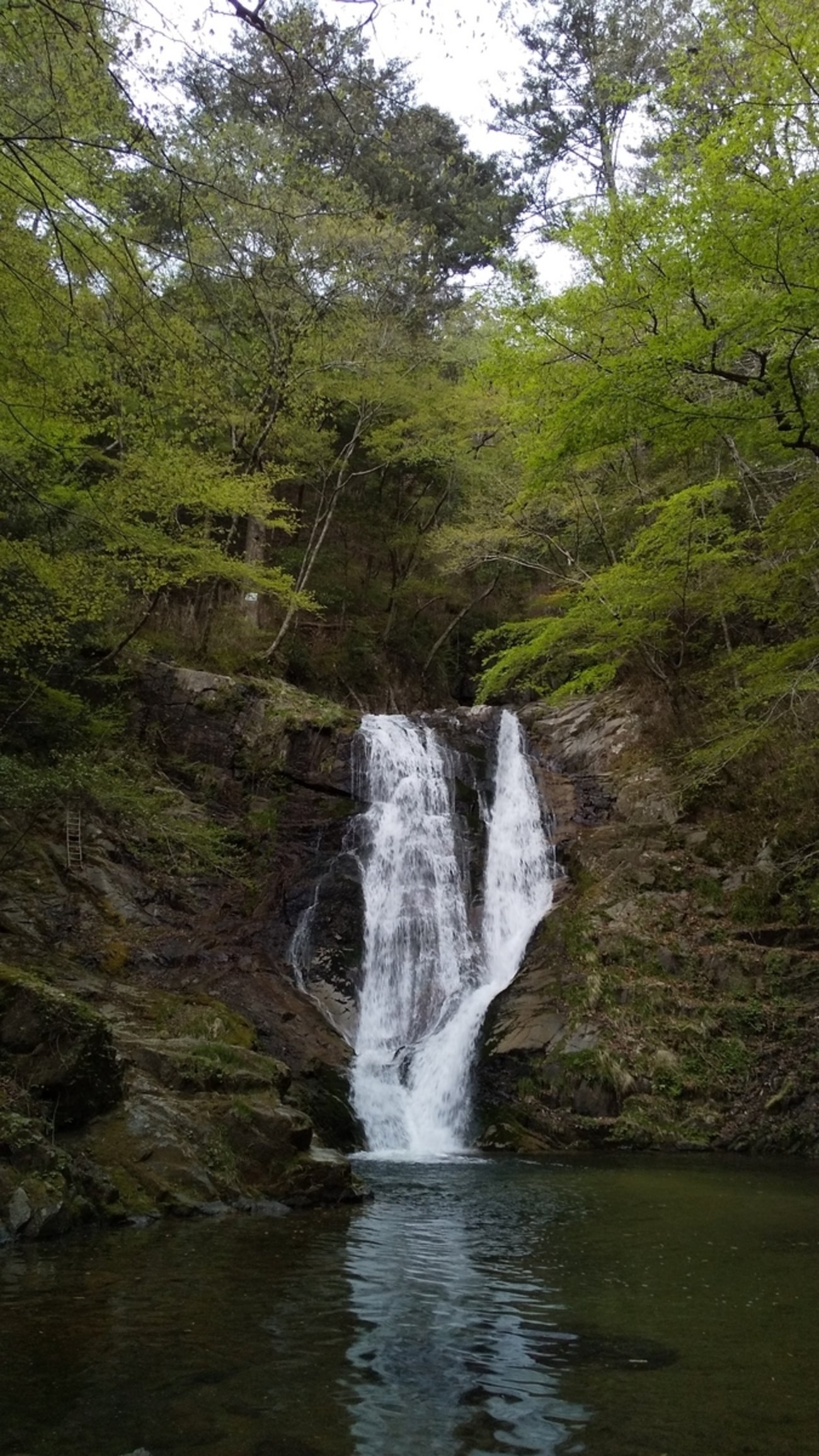 🏞️ 세토가로 계곡(세토가로) 이미지 6
